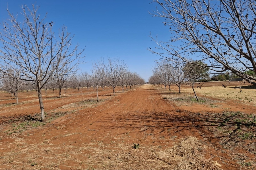 0 Bedroom Property for Sale in Hartswater Northern Cape